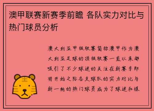 澳甲联赛新赛季前瞻 各队实力对比与热门球员分析